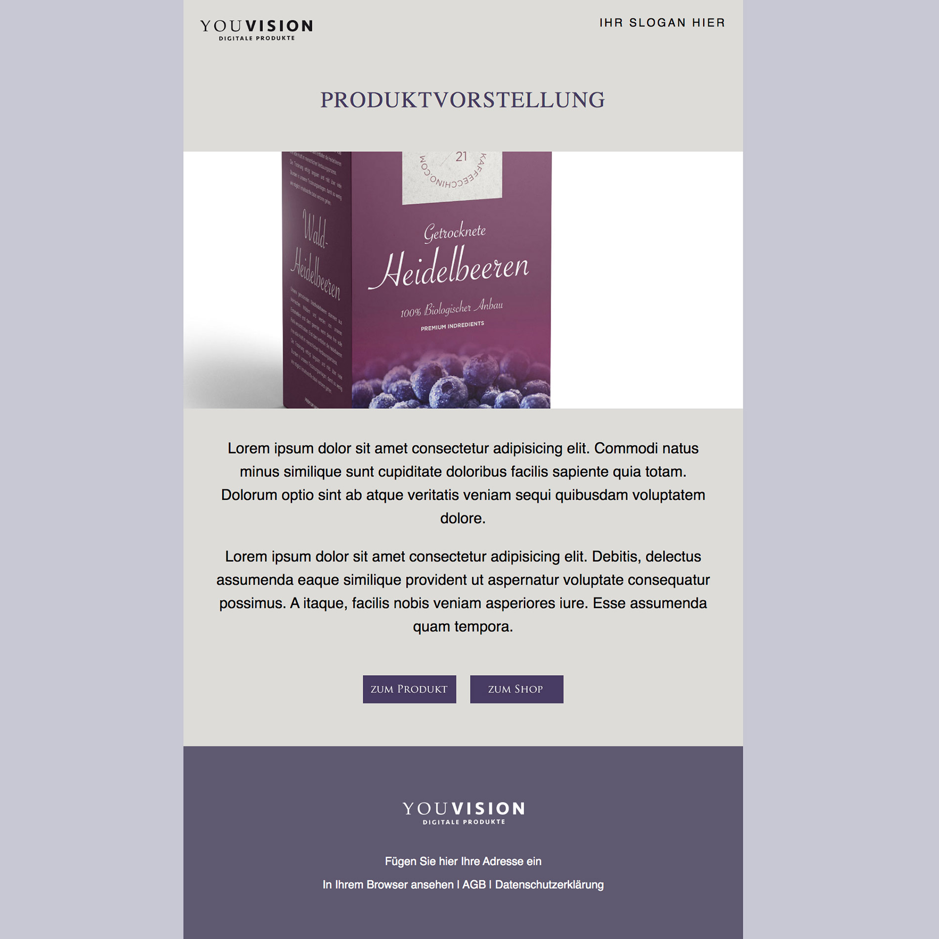 HTML Newsletter Template Beere